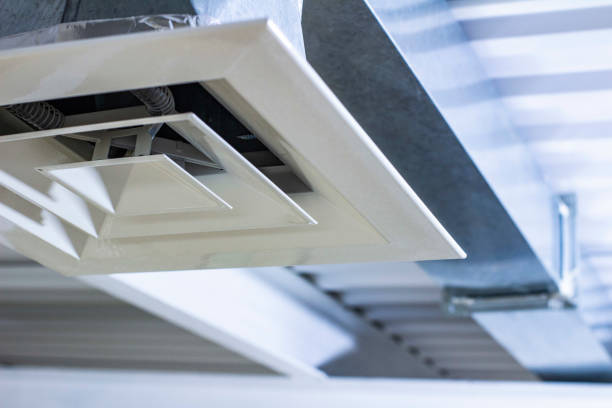 Best Best Air Duct Cleaning Company  in Wacousta, MI