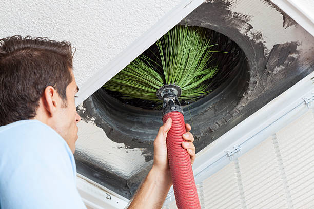 Best Ventilation Cleaning Services  in Wacousta, MI