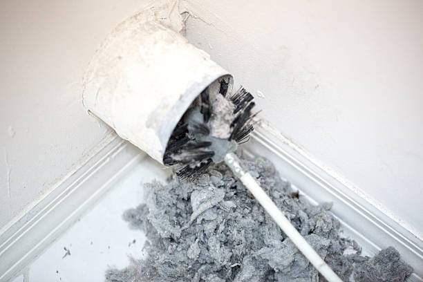 Best Home Air Vent Cleaning  in Wacousta, MI