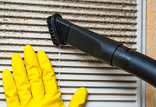 Ductwork Cleaning Services in Wacousta, MI