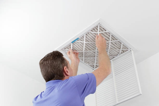 Best HVAC Duct Inspection Services  in Wacousta, MI